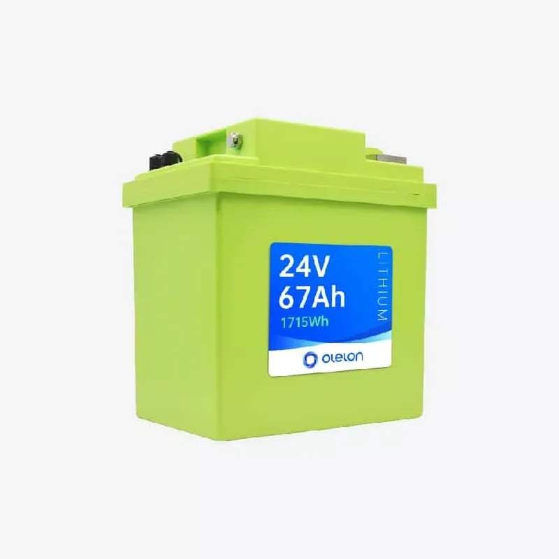Bateria modular LiFePO4 de 24V 67Ah